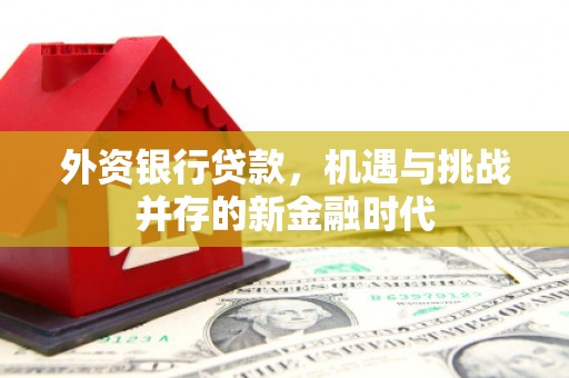 焉耆外资银行贷款，机遇与挑战并存的新金融时代