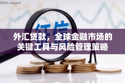 焉耆外汇贷款，全球金融市场的关键工具与风险管理策略