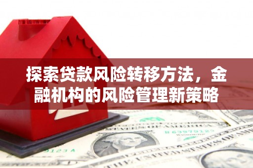 焉耆探索贷款风险转移方法，金融机构的风险管理新策略