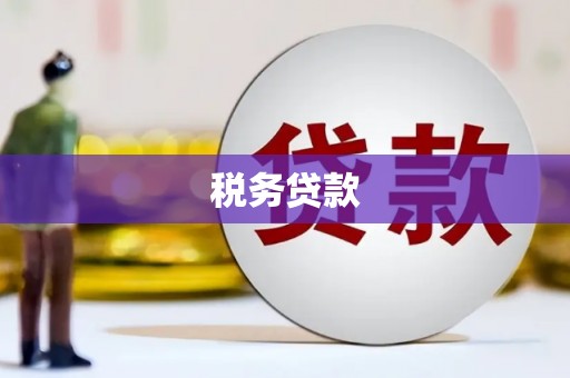 焉耆税务贷款