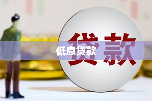 焉耆低息贷款