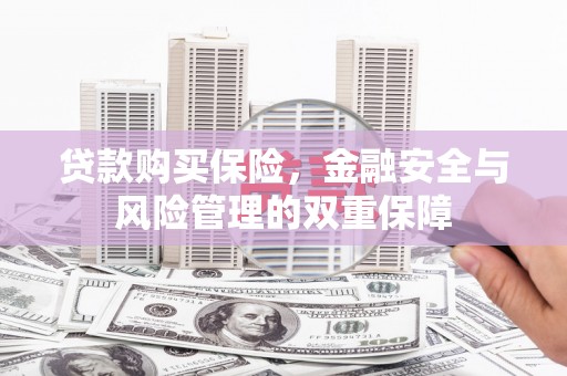 焉耆贷款购买保险，金融安全与风险管理的双重保障