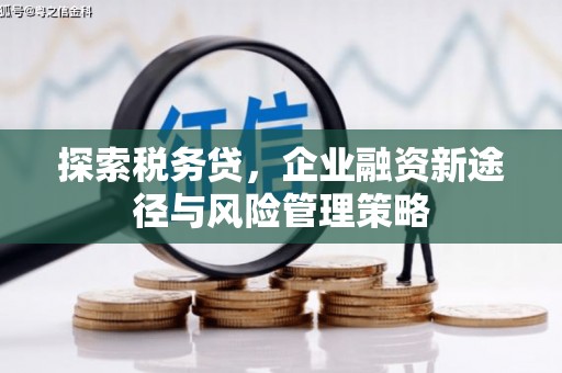 焉耆探索税务贷，企业融资新途径与风险管理策略