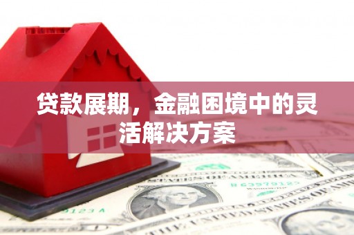 焉耆贷款展期，金融困境中的灵活解决方案