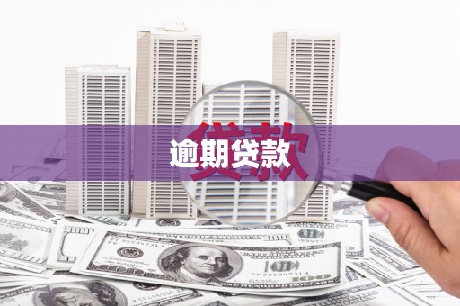 焉耆逾期贷款