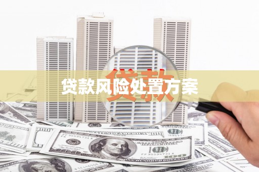 焉耆贷款风险处置方案
