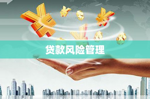 焉耆贷款风险管理