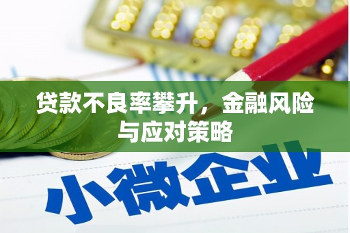 焉耆贷款不良率攀升，金融风险与应对策略