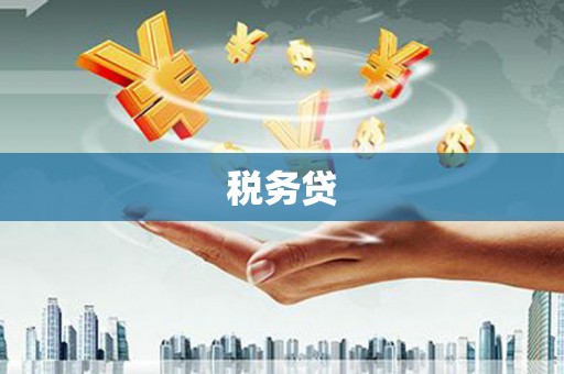 焉耆税务贷