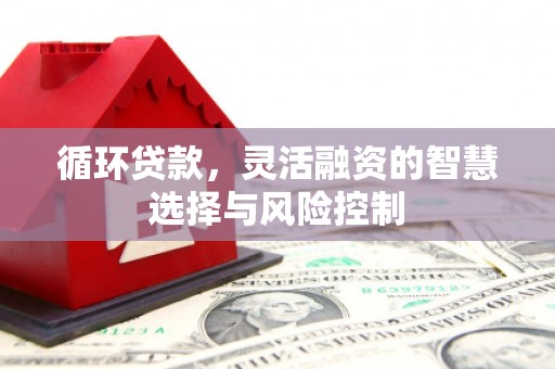 焉耆循环贷款，灵活融资的智慧选择与风险控制