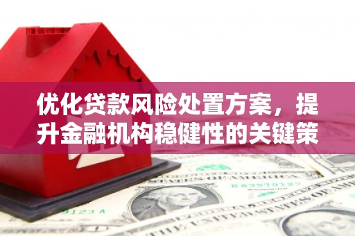 焉耆优化贷款风险处置方案，提升金融机构稳健性的关键策略
