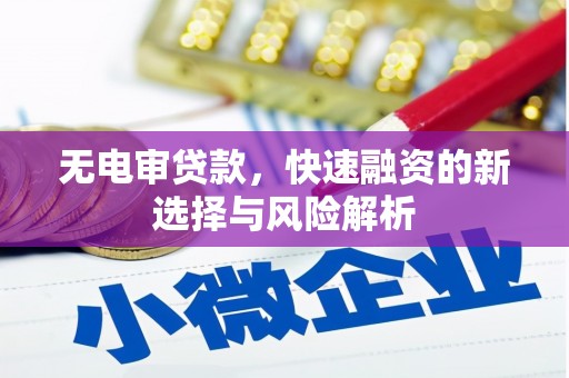 焉耆无电审贷款，快速融资的新选择与风险解析
