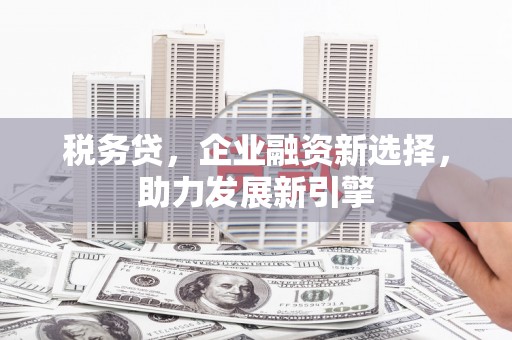 焉耆税务贷，企业融资新选择，助力发展新引擎