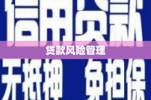 焉耆贷款风险管理