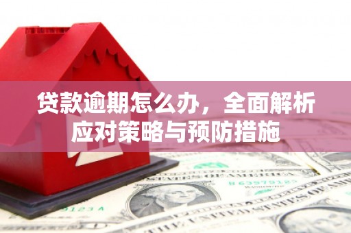 焉耆贷款逾期怎么办，全面解析应对策略与预防措施