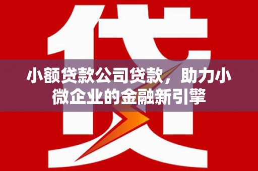 焉耆小额贷款公司贷款，助力小微企业的金融新引擎