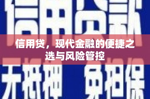 焉耆信用贷，现代金融的便捷之选与风险管控
