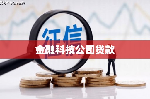 焉耆金融科技公司贷款