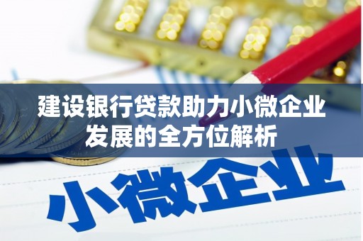 焉耆建设银行贷款助力小微企业发展的全方位解析