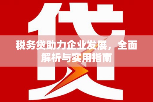 焉耆税务贷助力企业发展，全面解析与实用指南