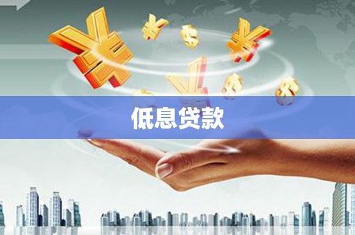 焉耆低息贷款