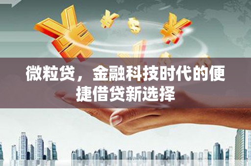焉耆微粒贷，金融科技时代的便捷借贷新选择
