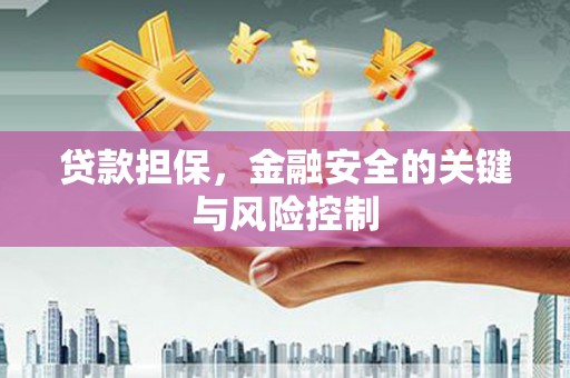 焉耆贷款担保，金融安全的关键与风险控制