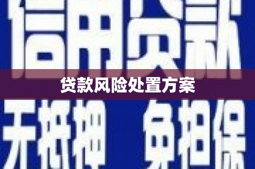 焉耆贷款风险处置方案