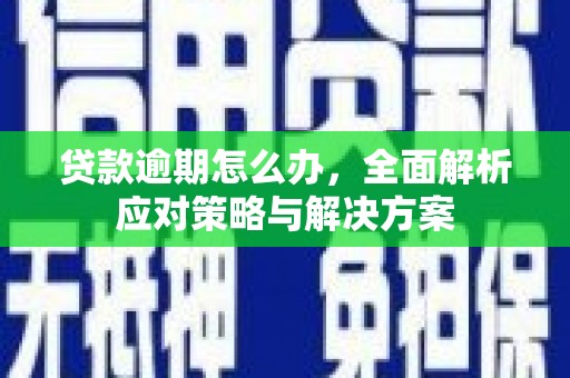 焉耆贷款逾期怎么办，全面解析应对策略与解决方案