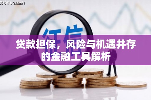 焉耆贷款担保，风险与机遇并存的金融工具解析